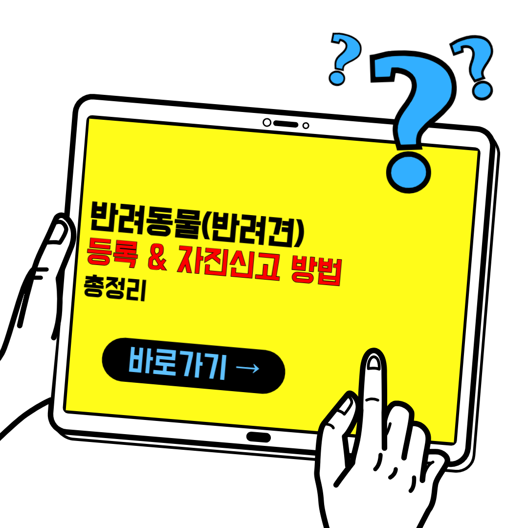반려견 등록, 자진신고 방법 총정리(2024)