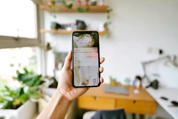 단통법 폐지, 선택 약정, 공시 지원금, 번호 이동, 자급제폰, 할인골든타임