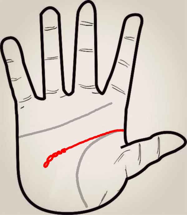 공부를 싫어하는 손금