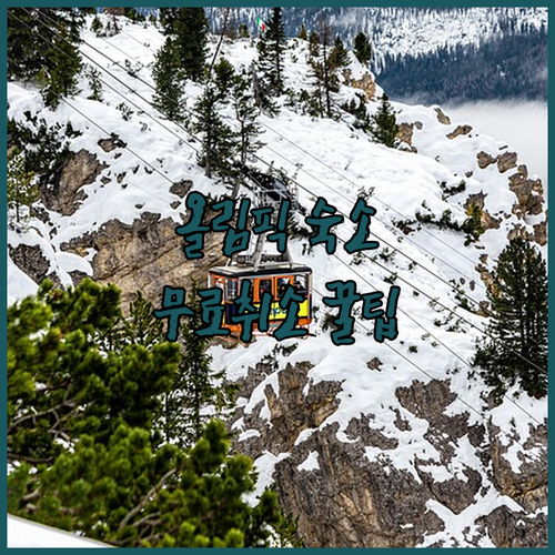 밀라노 코르티나 동계올림픽 숙소 무료..