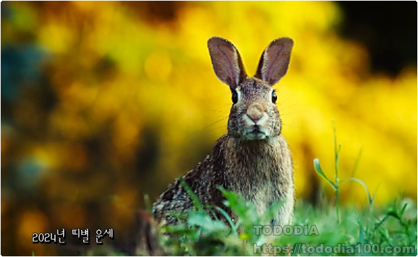 토끼띠운세