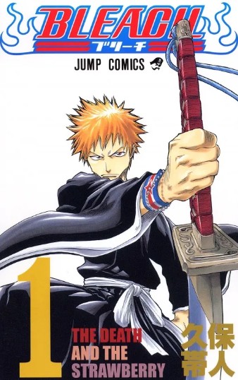 블리치 만화 사진