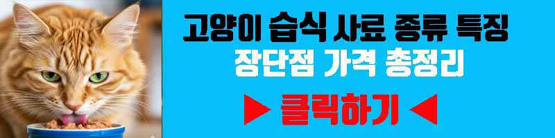 고양이 습식 사료 종류 특징 성분 가격 한눈에 보기