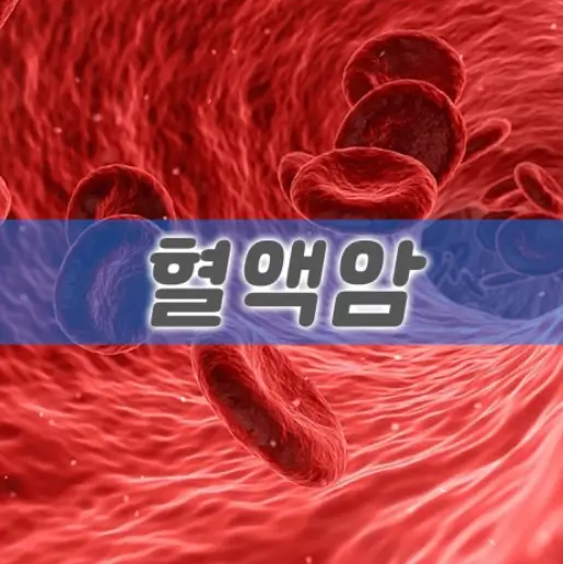 혈액암