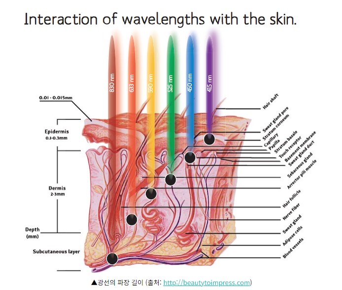 돌아온 여름 레드 라이트 테라피? 효능 주의사항