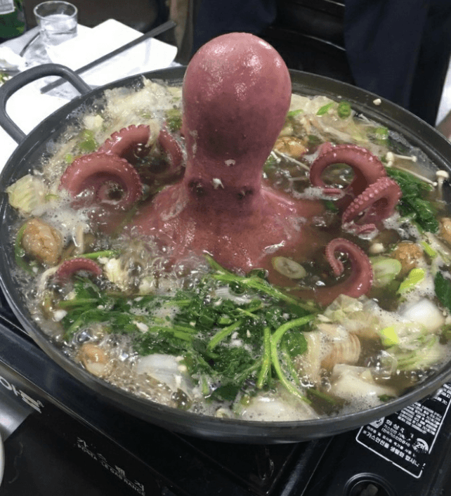 오늘N 위대한일터 문어보쌈 무어연포탕 맛집