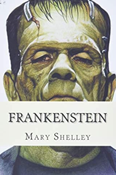 프랑켄슈타인 책 표지