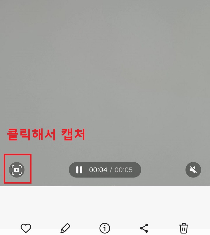 좌측 하단 캡처 버튼 보임