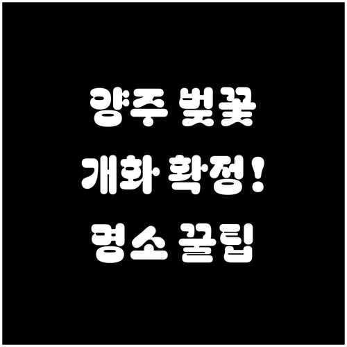 양주 벚꽃 개화 시기 및 명소 추천 ..