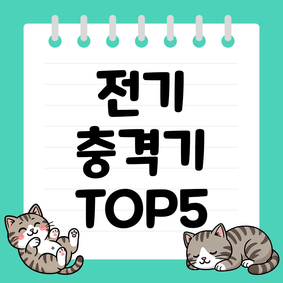 전기충격기 추천 순위 TOP5