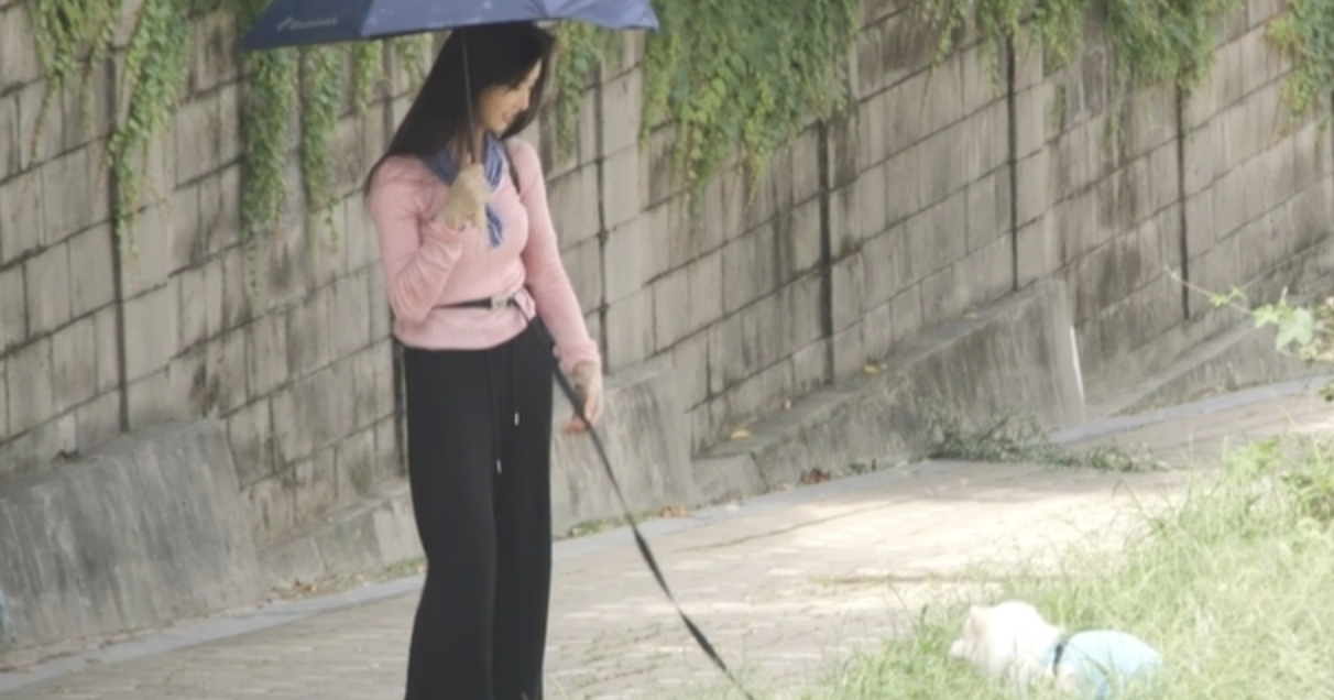 배우 이세희 전참시 재출연! 프로필부터 숨겨진 매력까지