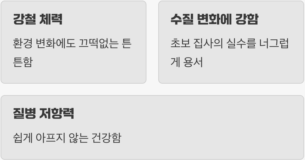 초보자도 문제없는 강인한 생명력