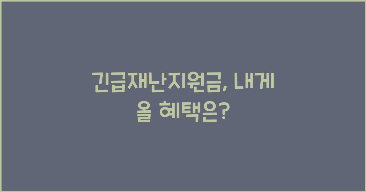 긴급재난지원금