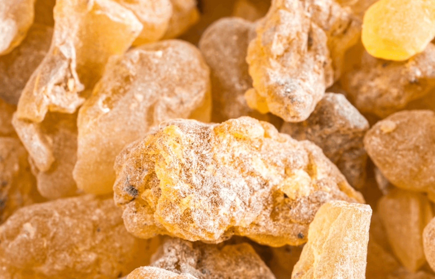 보스웰리아 모습