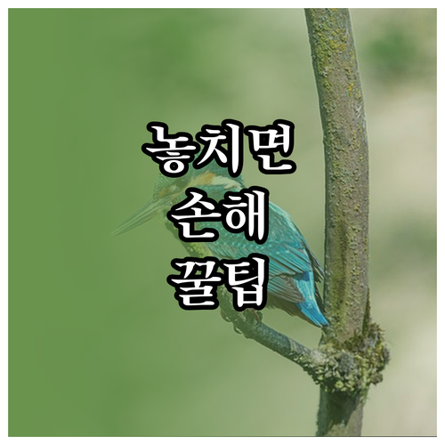 눈 건강 위한 스마트폰 밝기! 자동 ..