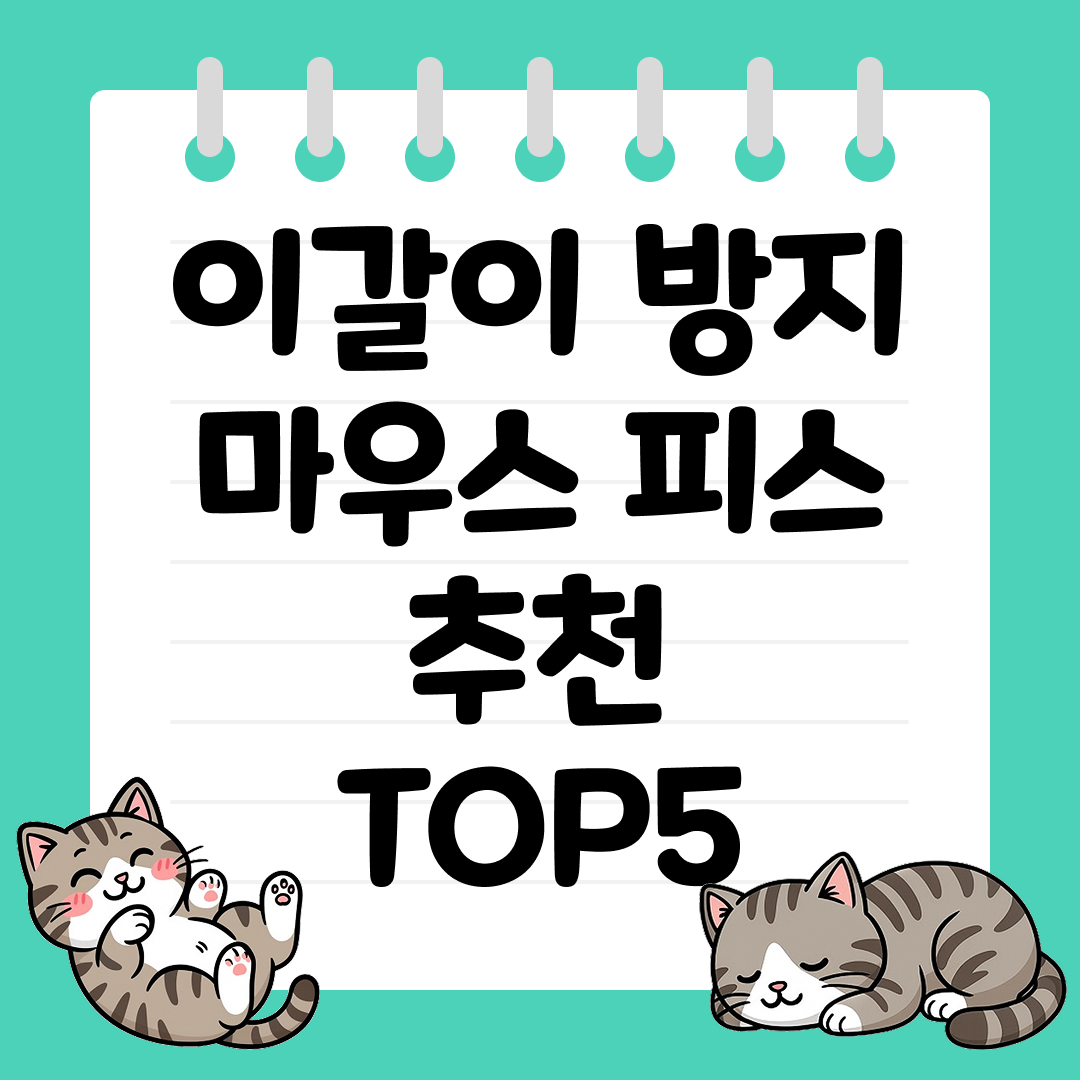 숙면 환경을 위한 이갈이 방지 마우스 피스 추천 순위 TOP5
