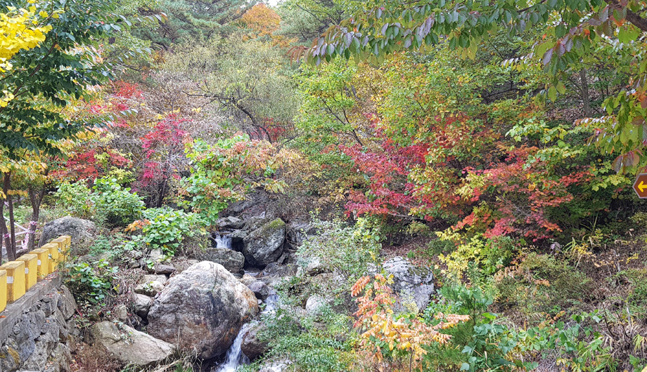 검봉산 자연휴양림