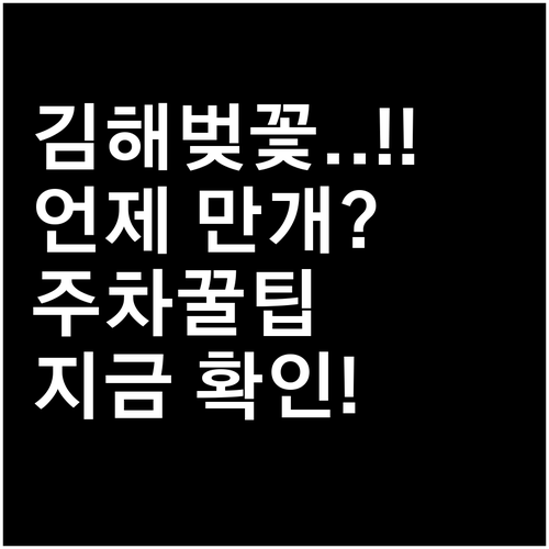 김해 벚꽃 나들이 정보 개화일 만개 ..