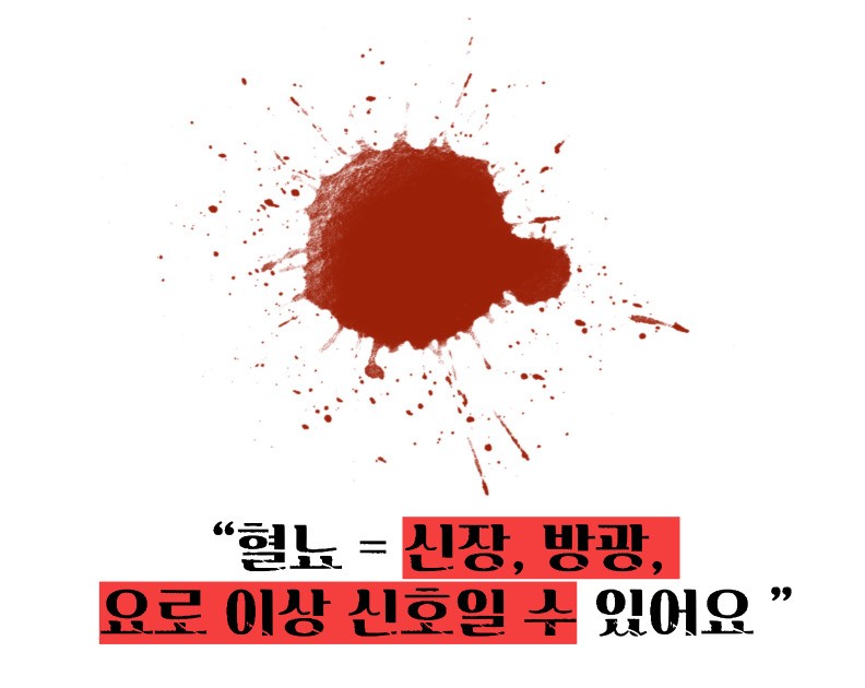 혈뇨가 나오는 이유
