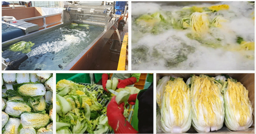 괴산_절임배추예약