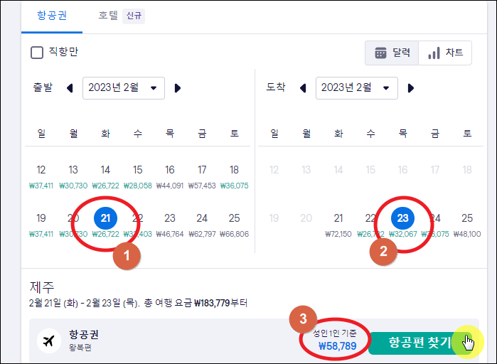 스카이스캐너 날짜 선택