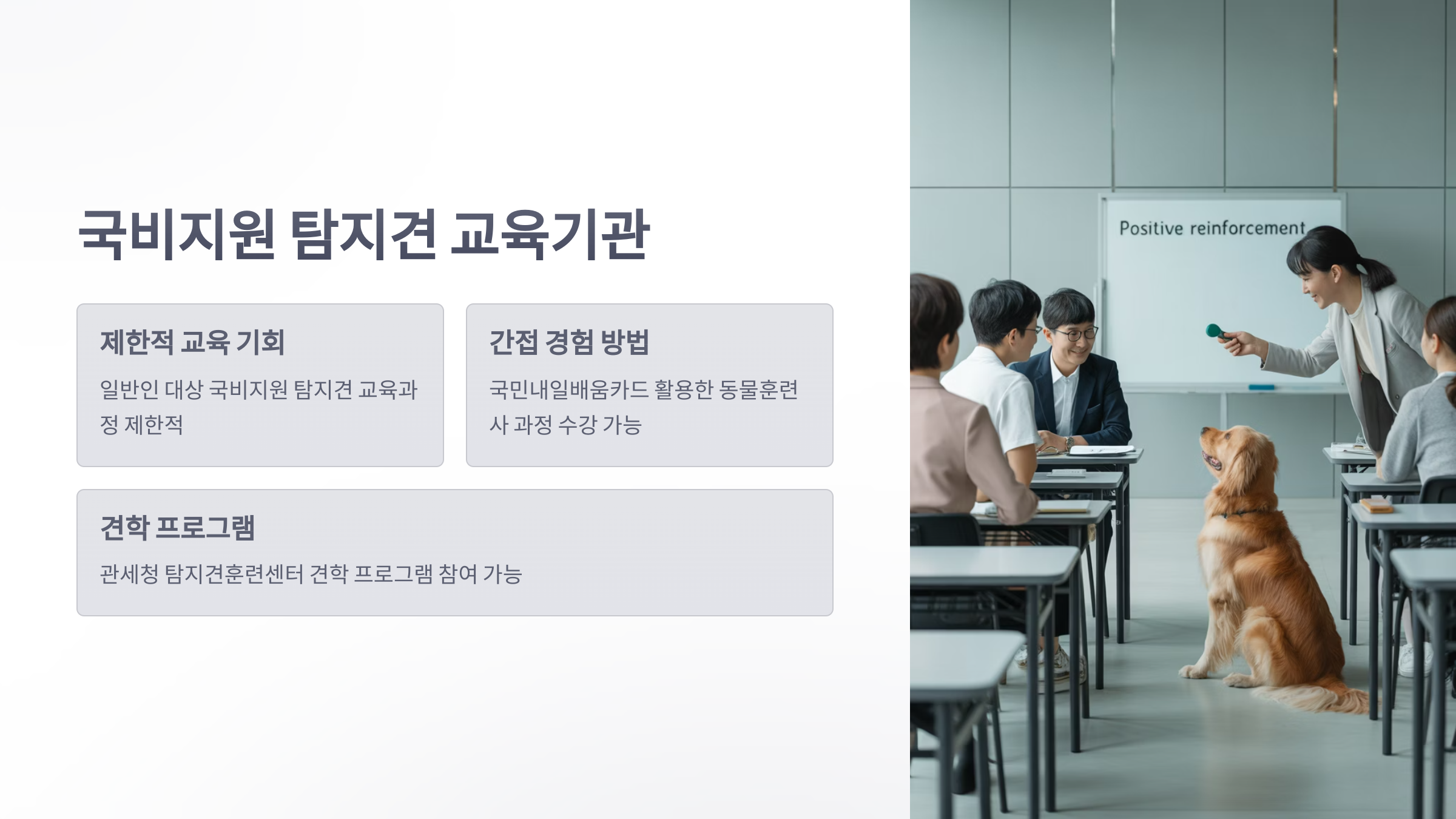 참조-마약-탐지견-5