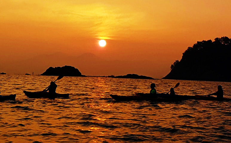 SEA KAYAKing을 즐기고 있는 카약커들