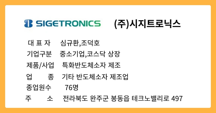 시지트로닉스-기업개요