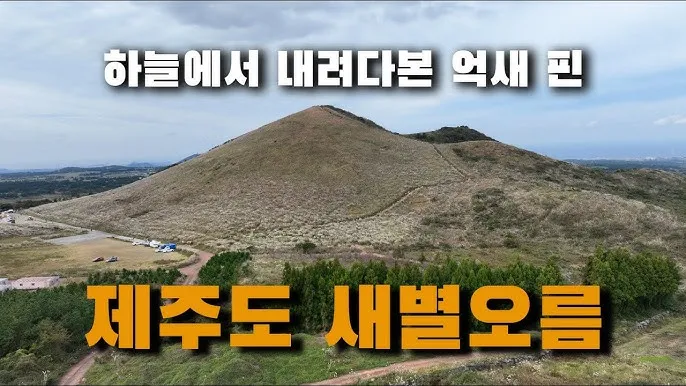 제주 새별오름 오르기 좋은 시간과 주변 명소 정리_8