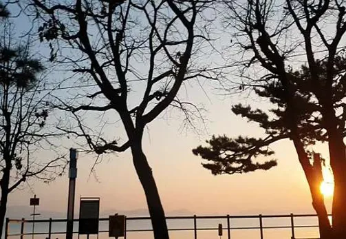 동막유원지