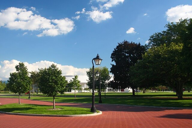 AI와 도시 나무 건강상태 점수의 시각화