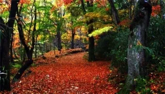 낙엽처럼 살아온 내 모습이 악보 완벽 연주 가이드_18