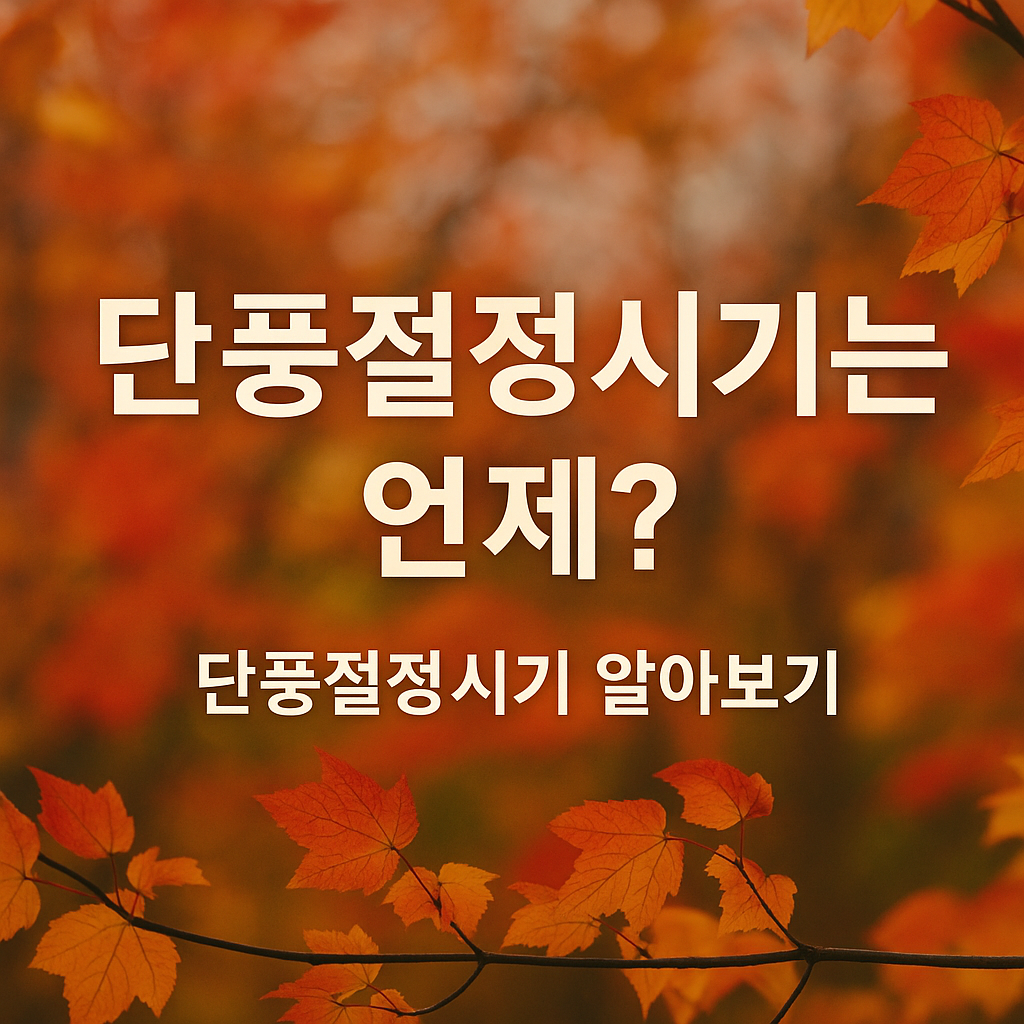 국립공원 단풍 절정 시기 확인하기