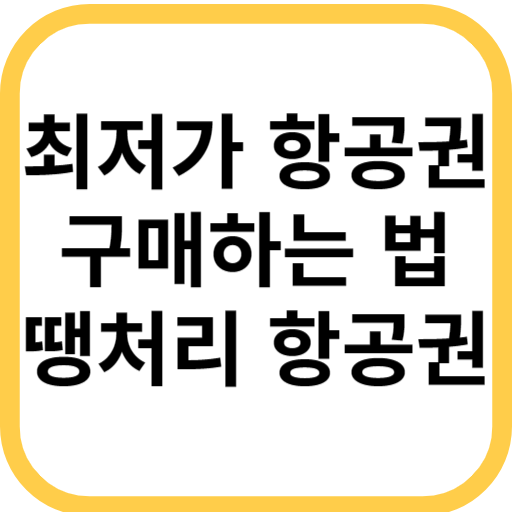최저가 항공권 땡처리 항공권 사진