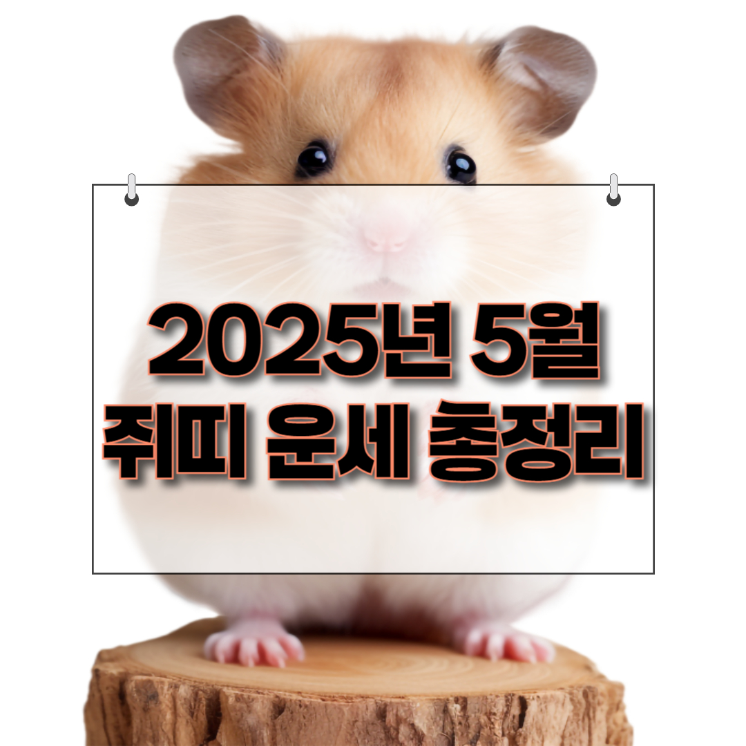 2025년 쥐띠 운세 제목 썸네일