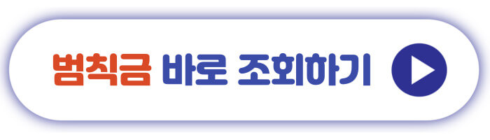 범칙금 바로 조회하기