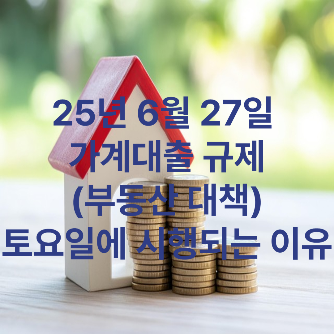 부동산 대책 토요일