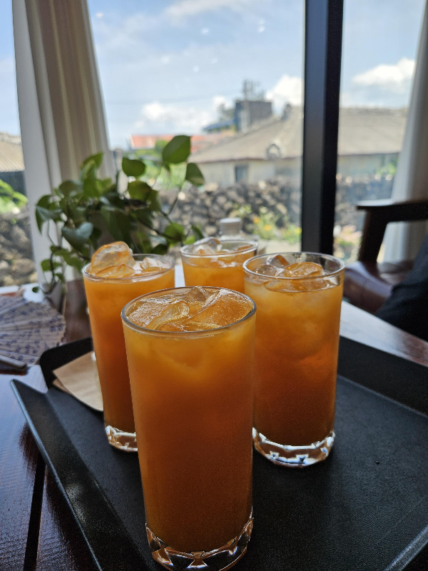 비양도 - 섬카페에서