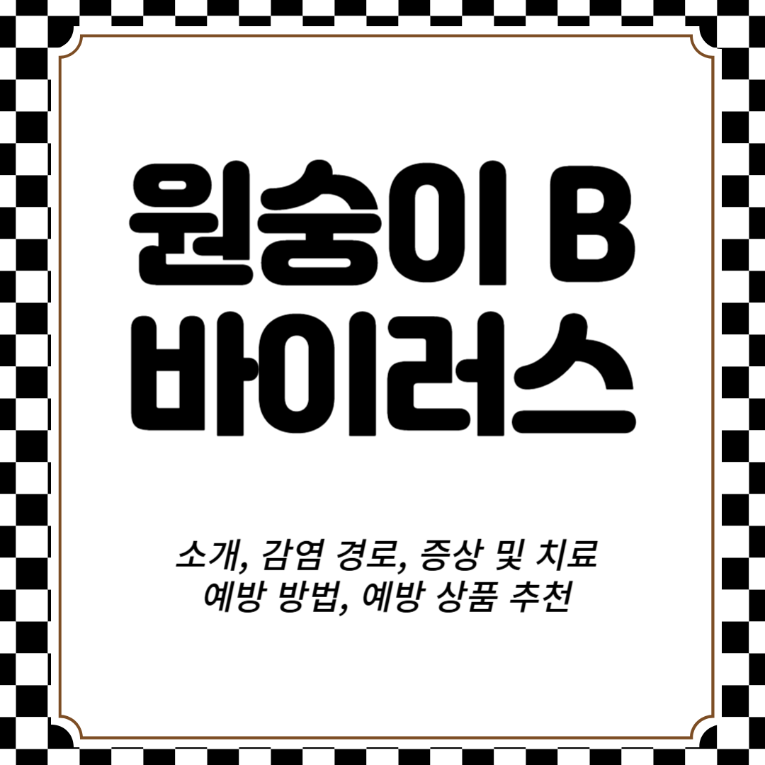 원숭이 B 바이러스 소개, 감염 경로, 증상 및 치료, 예방 방법, 예방 상품 추천