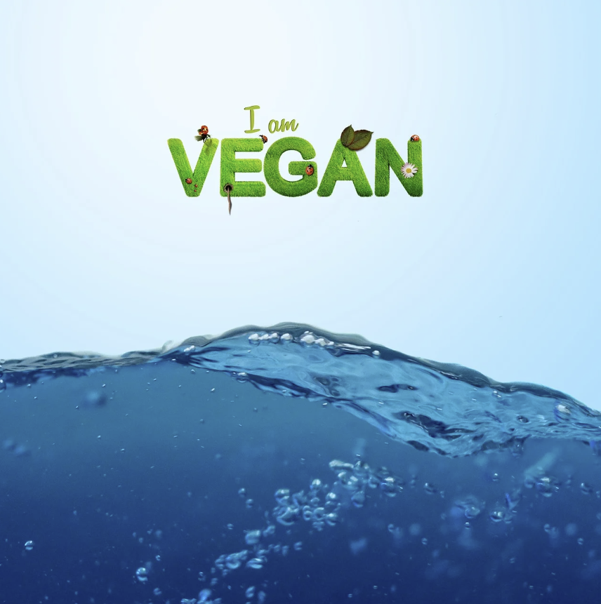 비건은 누구의 권리를 위한 실천인가