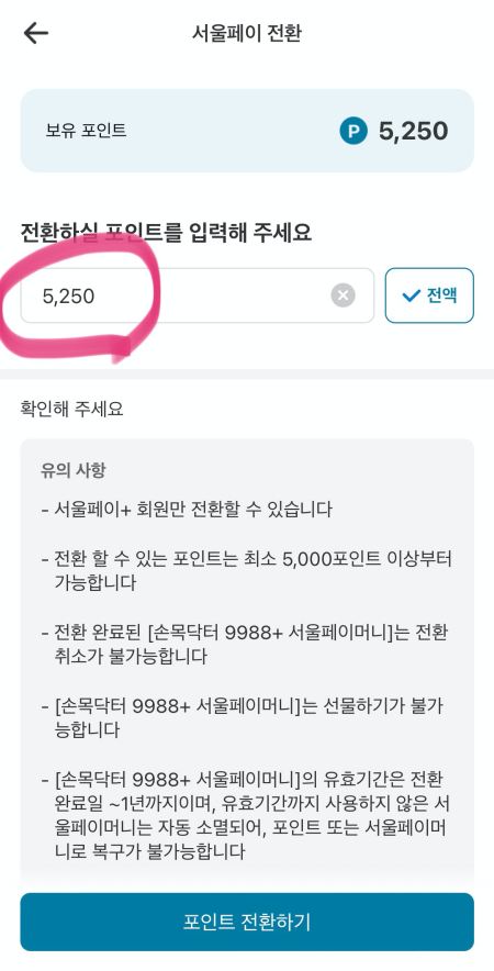 서울페이 포인트 전환