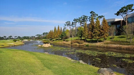 골프장 경험담 당진 파인스톤cc 대형 멋진 정원에서 환상의 골프 운동 