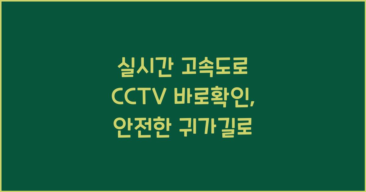 μ€μκ° κ³ μλλ‘ cctv λ°λ‘νμΈ