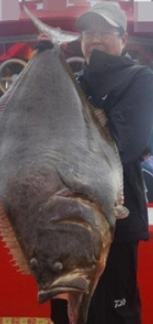 화성 전곡 광어