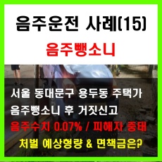 음주운전_음주사고_음주운전뺑소니처벌예상형량과 면책금