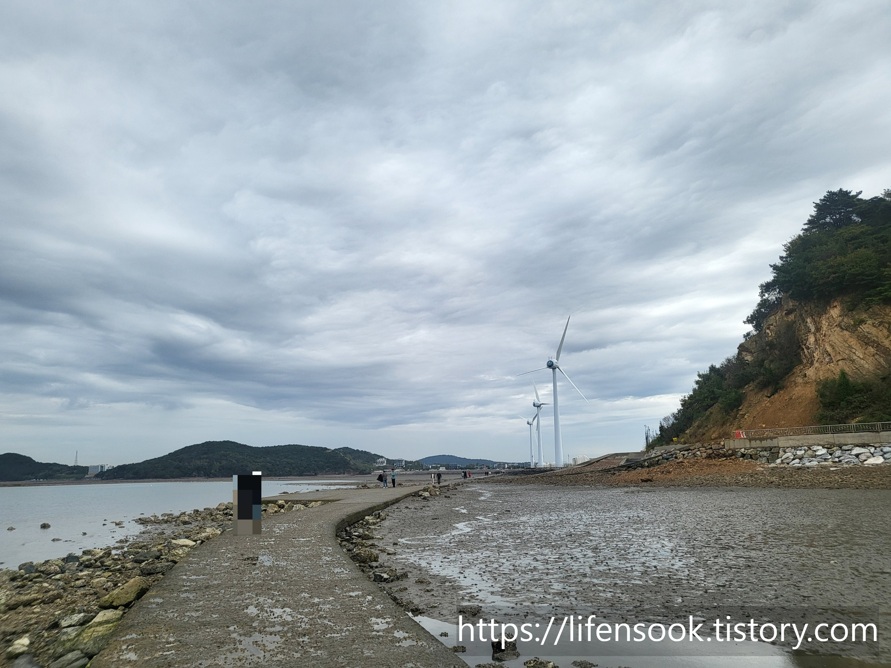 누에섬 바닷길 1
