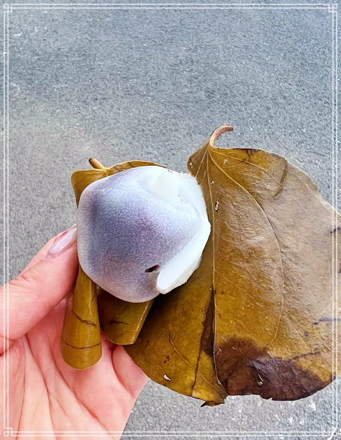 6시 내고향 경북 의령 전통시장 택배 판매 주문 망개떡 맛집