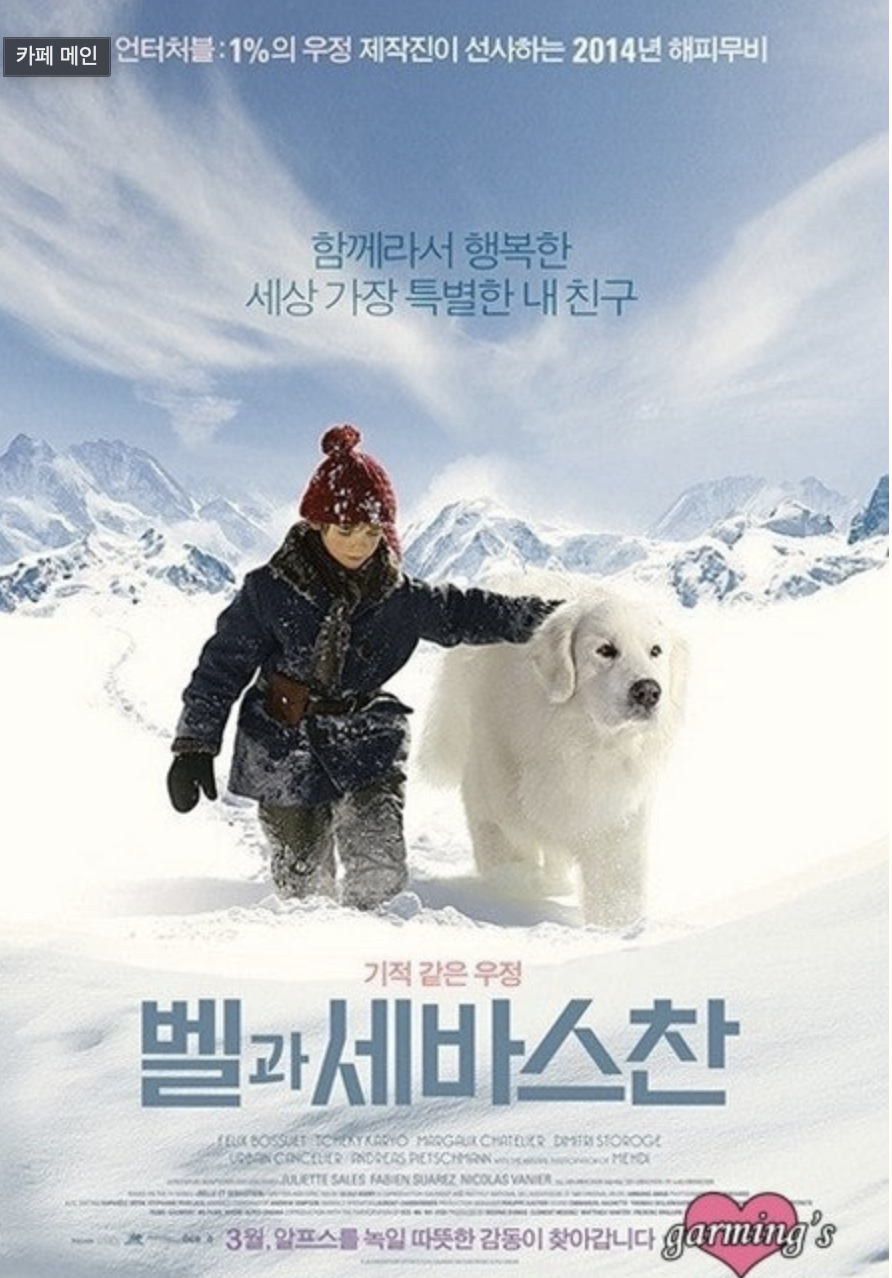 유기견과 인간이 맺은 기적 같은 이야기들에 대한 사진