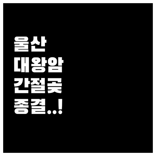 겨울 끝자락에 떠나는 울산 여행 대왕..