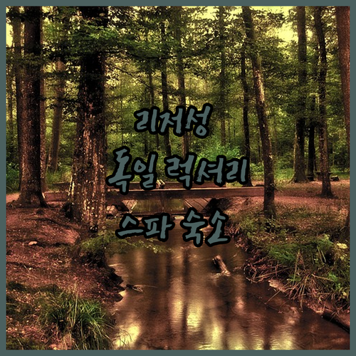 리저 여행 필수 숙소! 🏰 슐로스 리..